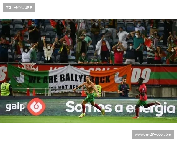 塞斯科头球双响斯洛文尼亚2比2战平瑞典世预赛精彩对决